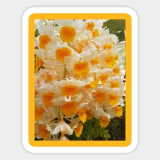 Easter Daffodils Sticker